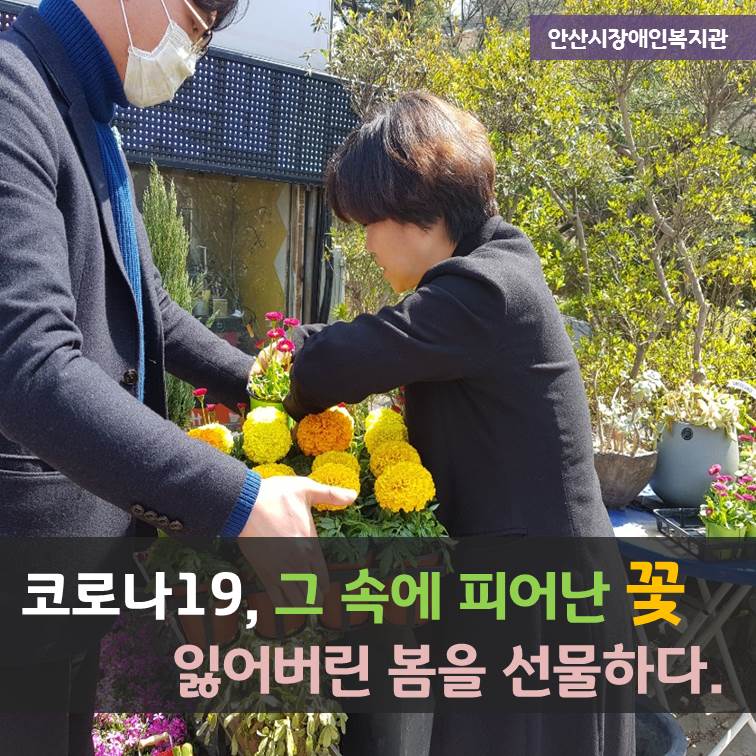 남자 한명이 여러개의 꽃 화분을 하나의 판에 담아 들고 있고 오른쪽에서 여자 한 명이 화분을 더 담아 주는 모습 글-코로나19, 그 속에서 피어난 꽃, 잃어버린 봄을 선물하다.